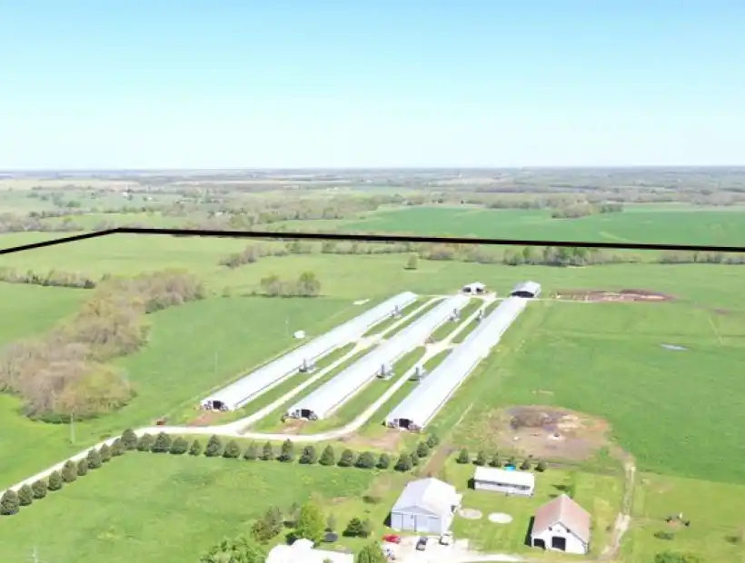 15579 Elm Branch Rd, Windsor, Missouri 65360, ,Farm,Inactive,Elm Branch Rd,5533