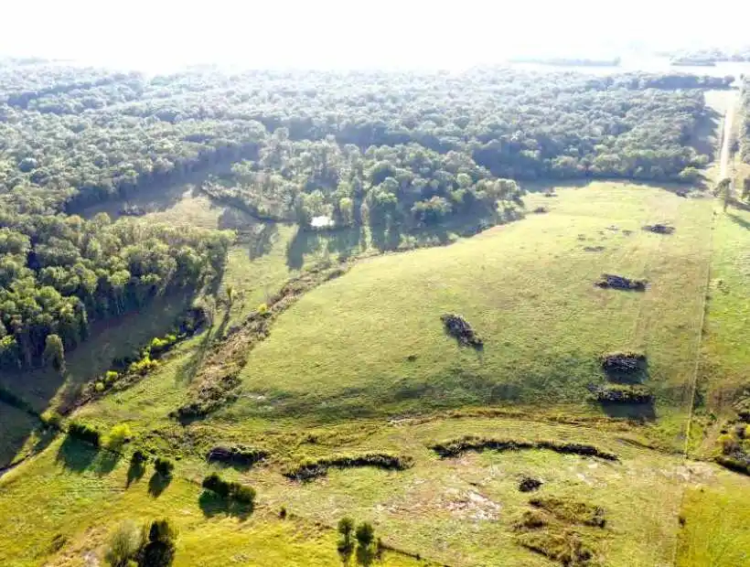 TBD County Rd 60, Quincy, Missouri 65735, ,Land,Sold,County Rd 60,5542