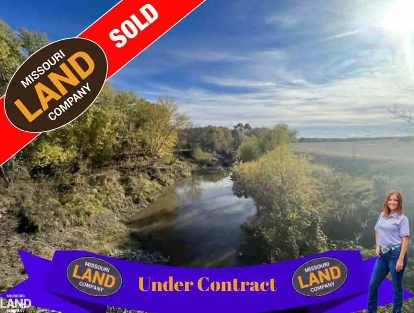 TBD SW Thornton Road, Clarksdale, Missouri 64430, ,Farm,Sold,SW Thornton Road,5553