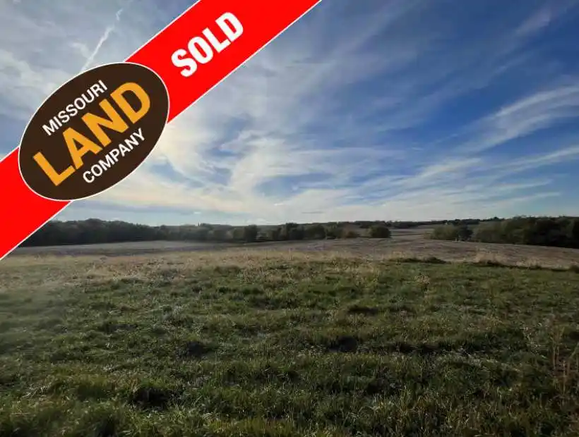 TBD SW Thornton Road, Clarksdale, Missouri 64430, ,Recreational,Sold,SW Thornton Road,5554