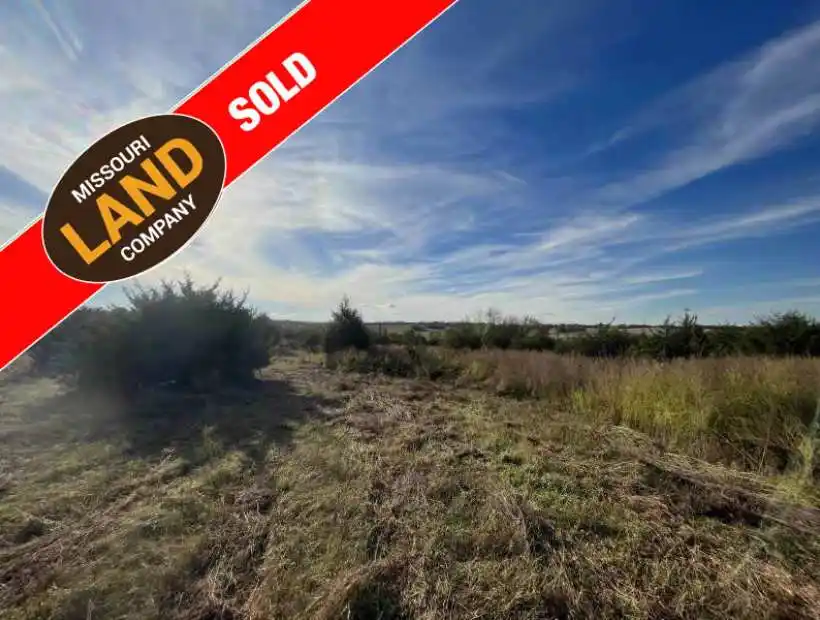TBD SW Thornton Road, Clarksdale, Missouri 64430, ,Recreational,Sold,SW Thornton Road,5555