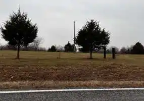 hunting, woods, timber hunting, woods, timber