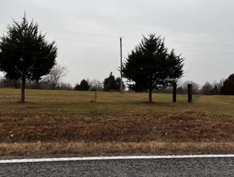 hunting, woods, timber