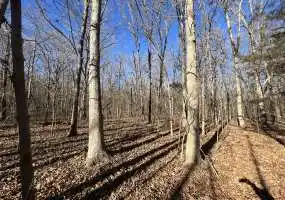 TBD Stelling Ln, Stover, Missouri 65078, ,Recreational,Sold,Stelling Ln ,5564