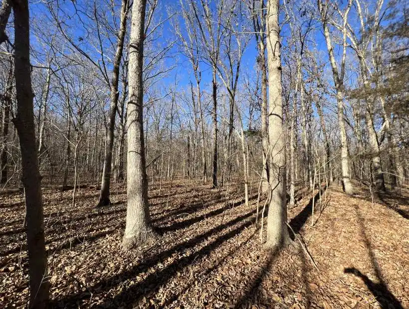 TBD Stelling Ln, Stover, Missouri 65078, ,Recreational,Sold,Stelling Ln ,5564