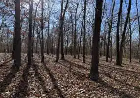 TBD Stelling Ln, Stover, Missouri 65078, ,Recreational,Sold,Stelling Ln ,5584 TBD Stelling Ln, Stover, Missouri 65078, ,Recreational,Sold,Stelling Ln ,5584