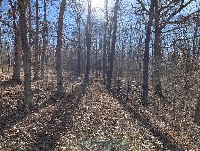 TBD Stelling Ln, Stover, Missouri 65078, ,Recreational,Sold,Stelling Ln ,5585