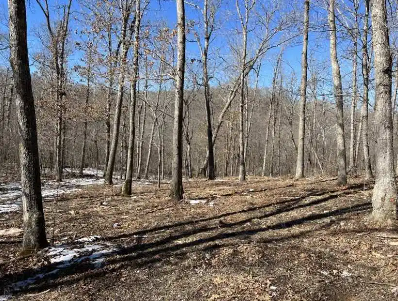 TBD Hiawatha Dr, Stover, Missouri 65078, ,Recreational,Sold,Hiawatha Dr,5588