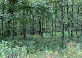 Bannister Hollow Rd,5598 Bannister Hollow Rd,5598