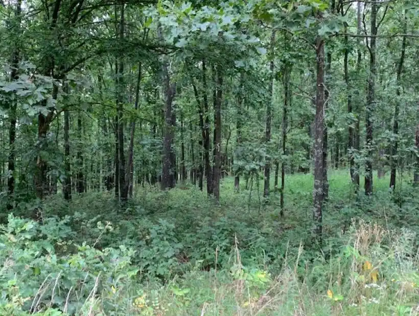 Bannister Hollow Rd,5598