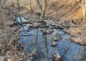 TBD Minnow Branch Rd, Stover, Missouri 65078, ,Hunting,Sold,Minnow Branch Rd ,5600 TBD Minnow Branch Rd, Stover, Missouri 65078, ,Hunting,Sold,Minnow Branch Rd ,5600