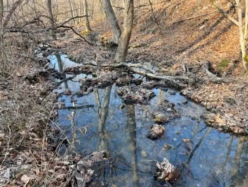 TBD Minnow Branch Rd, Stover, Missouri 65078, ,Hunting,Sold,Minnow Branch Rd ,5600