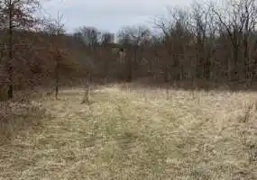 grundy county, hunting, deer, timber, pond, creek, grundy county, hunting, deer, timber, pond, creek,