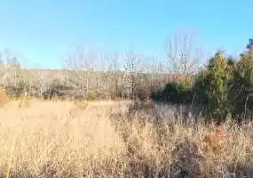 TBD US HWY 63, Licking, Missouri 65542, ,Land,Sold,US HWY 63,5611 TBD US HWY 63, Licking, Missouri 65542, ,Land,Sold,US HWY 63,5611