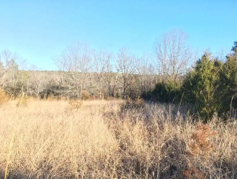 TBD US HWY 63, Licking, Missouri 65542, ,Land,Sold,US HWY 63,5611