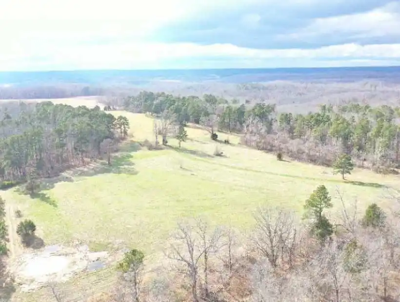 Hunting, Deer, Turkey, Land, Timber, Pature, Food Plots