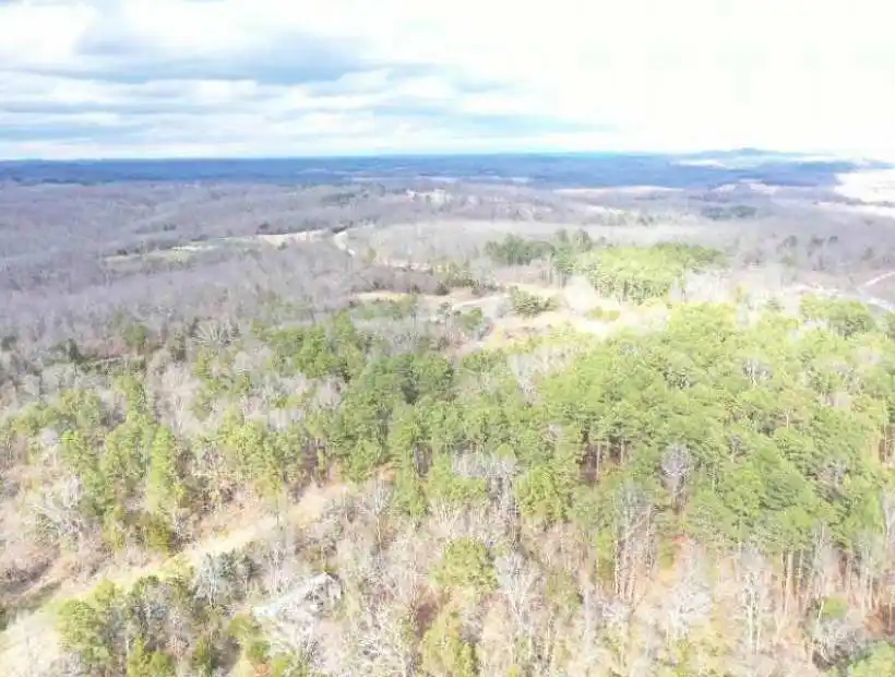 Deer, Turkey,  Hunting, Missouri Land Company