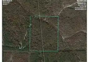 TBD Burns Road, Hartshorn, Missouri 65479, ,Hunting,Sold,Burns Road,5617 TBD Burns Road, Hartshorn, Missouri 65479, ,Hunting,Sold,Burns Road,5617