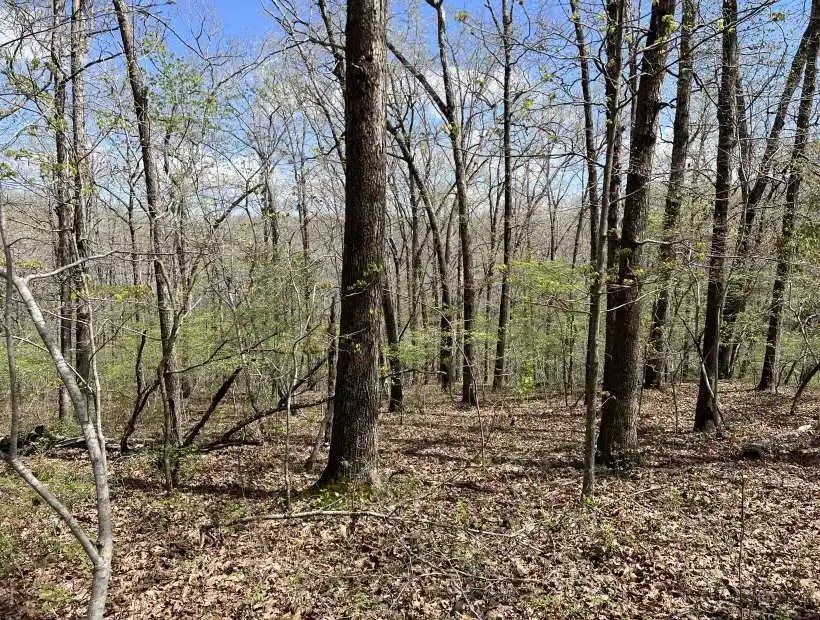 TBD Wanda Dr, Lincoln, Missouri 65338, ,Recreational,Sold,Wanda Dr ,5624