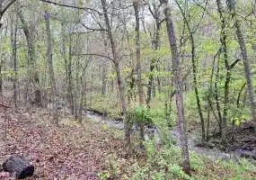 TBD Hwy FF, Climax Springs, Missouri 65324, ,Hunting,Sold,Hwy FF,5625 TBD Hwy FF, Climax Springs, Missouri 65324, ,Hunting,Sold,Hwy FF,5625