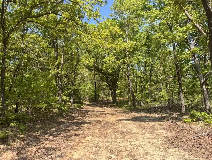 TBD Bear Creek Rd, Brumley, Missouri 65017, ,Hunting,Sold,Bear Creek Rd,5630