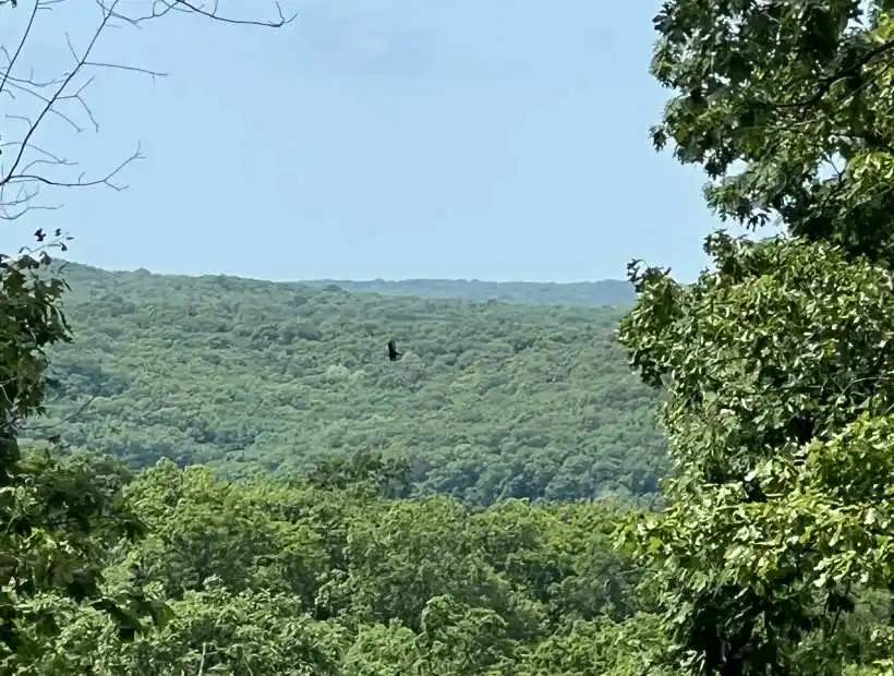 TBD Golden Acres Rd, Lincoln, Missouri 65338, ,Land,Sold,Golden Acres Rd,5633