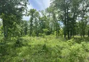 TBD Golden Acres Rd, Lincoln, Missouri 65338, ,Land,Sold,Golden Acres Rd,5635