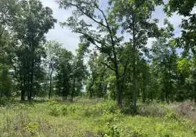 TBD Golden Acres Rd, Lincoln, Missouri 65338, ,Land,Sold,Golden Acres Rd,5636 TBD Golden Acres Rd, Lincoln, Missouri 65338, ,Land,Sold,Golden Acres Rd,5636