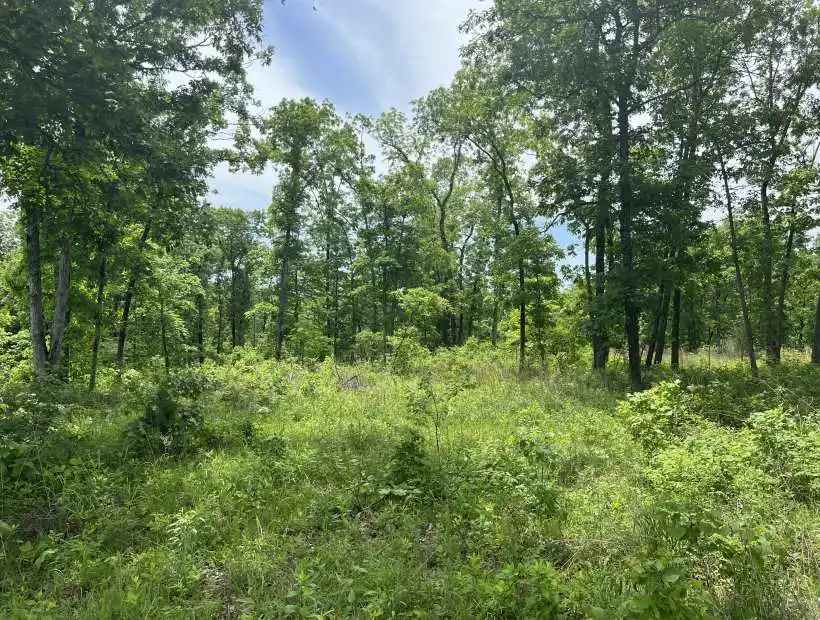 TBD Golden Acres Rd, Lincoln, Missouri 65338, ,Land,Sold,Golden Acres Rd ,5637