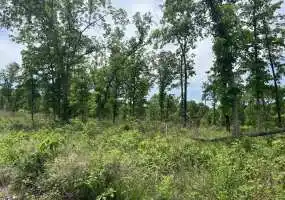 TBD Golden Acres Rd, Lincoln, Missouri 65338, ,Land,Sold,Golden Acres Rd ,5639