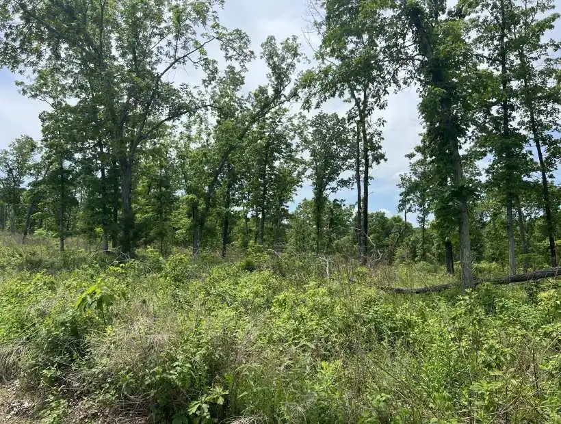 TBD Golden Acres Rd, Lincoln, Missouri 65338, ,Land,Sold,Golden Acres Rd ,5639