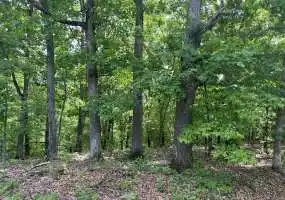 TBD Golden Acres Rd, Lincoln, Missouri 65338, ,Land,Inactive,Golden Acres Rd ,5640