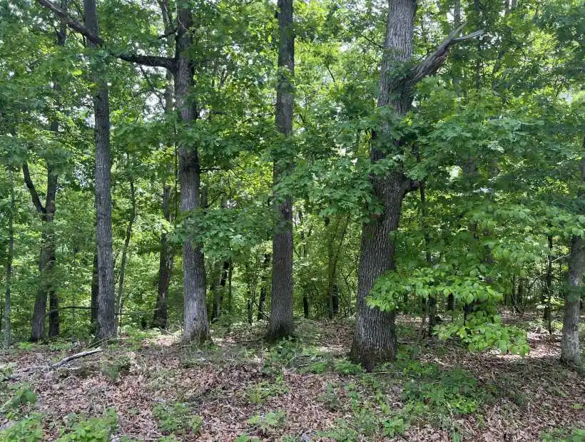 TBD Golden Acres Rd, Lincoln, Missouri 65338, ,Land,Inactive,Golden Acres Rd ,5640