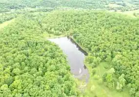 TBD Wilhite Rd, Davisville, Missouri 65456, ,Recreational,Sold,Wilhite Rd,5646 TBD Wilhite Rd, Davisville, Missouri 65456, ,Recreational,Sold,Wilhite Rd,5646