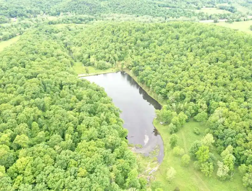 TBD Wilhite Rd, Davisville, Missouri 65456, ,Recreational,Sold,Wilhite Rd,5646
