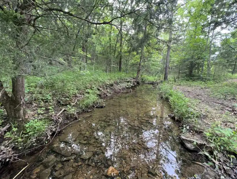 1508 Hwy 17, Iberia, Missouri 65486, ,Hunting,Sold,Hwy 17,5650