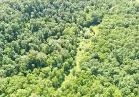 TBD Little BuffaloRd, Stover, Missouri 65078, ,Hunting,Sold,Little BuffaloRd ,5656