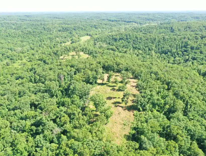 TBD Little BuffaloRd, Stover, Missouri 65078, ,Hunting,Sold,Little BuffaloRd,5657