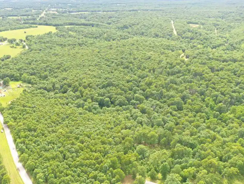 83 Corkery Rd, Lebanon, Missouri 65536, ,Land,Inactive,Corkery Rd,5659