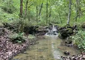 TBD Dority Dr, Climax Springs, Missouri 65324, ,Hunting,Sold,Dority Dr,5660
