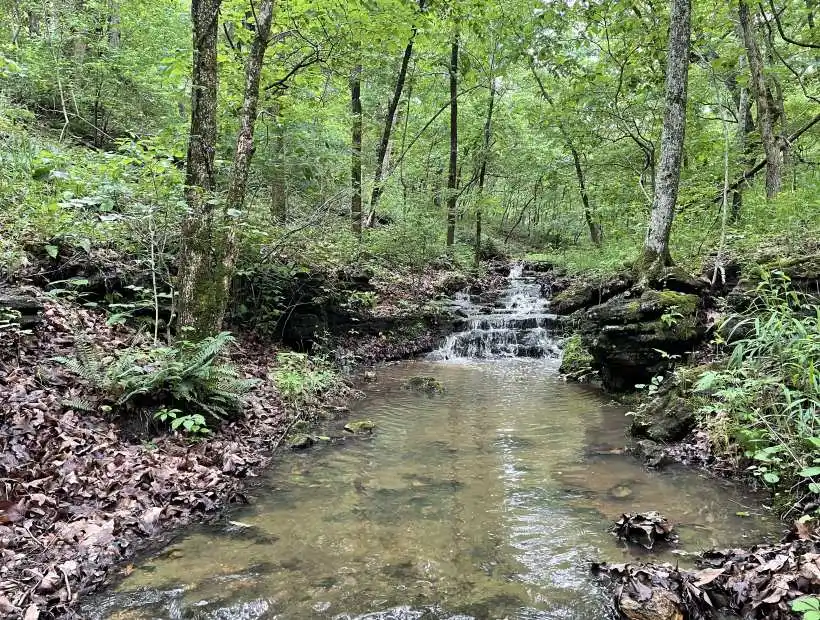 TBD Dority Dr, Climax Springs, Missouri 65324, ,Hunting,Sold,Dority Dr,5660