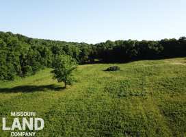 TBD County Road 3600, St. James, Missouri 65559, ,Hunting,Active,County Road 3600,5663