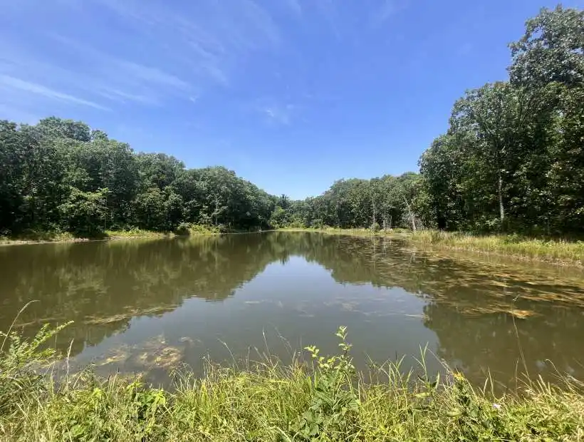 hunting, secluded, private, pond, timber, recreational