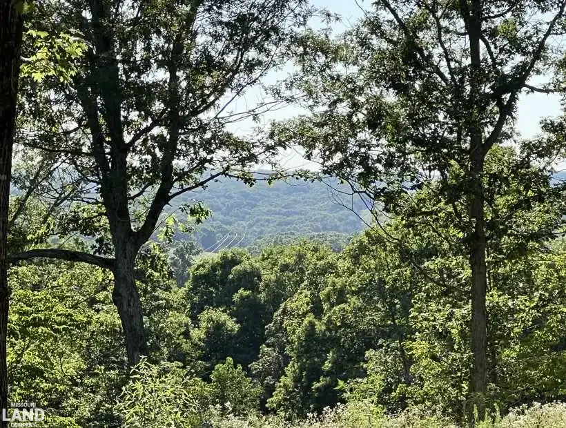 TBD Ivey Bend Rd, Stover, Missouri 65078, 1 Bedroom Bedrooms, 0 ,0,Recreational,Inactive,Ivey Bend Rd,0,5674