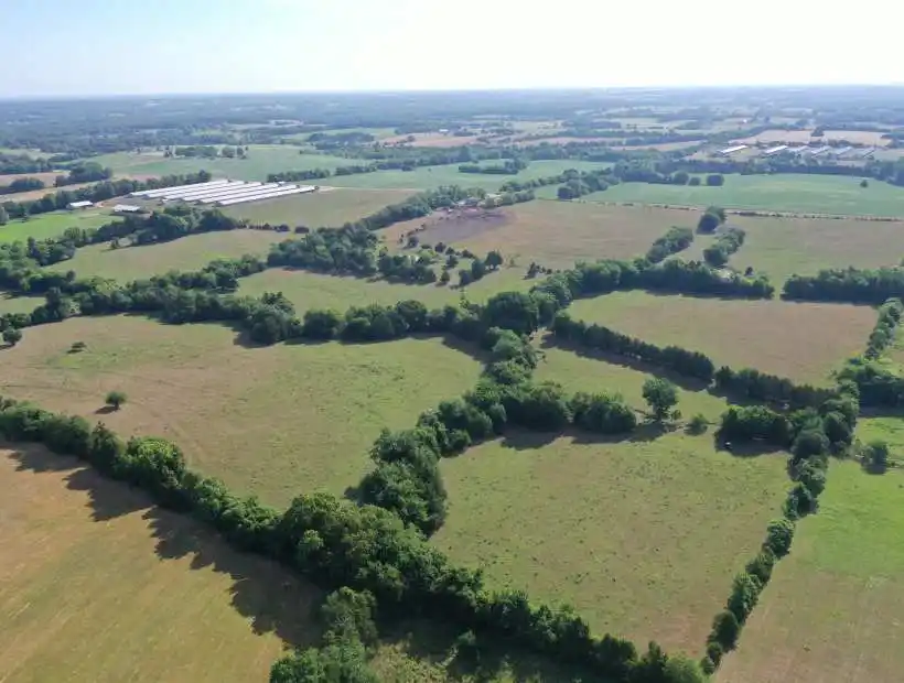 19231 Boeschenville Rd, Cole Camp, Missouri 65325, ,House with Acreage,Sold,Boeschenville Rd ,5676