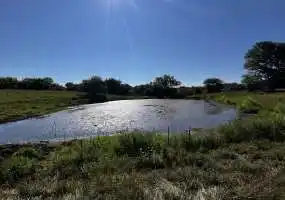 land, pasture, fenced, cross-fenced, pond, creek, deer, hunting, cattle, livestock