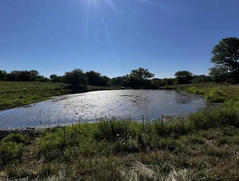 land, pasture, fenced, cross-fenced, pond, creek, deer, hunting, cattle, livestock