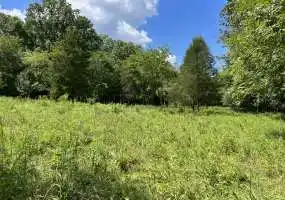 TBD Grace Wood Ln, Gravois Mills, Missouri 65037, ,Recreational,Sold,Grace Wood Ln ,5681 TBD Grace Wood Ln, Gravois Mills, Missouri 65037, ,Recreational,Sold,Grace Wood Ln ,5681