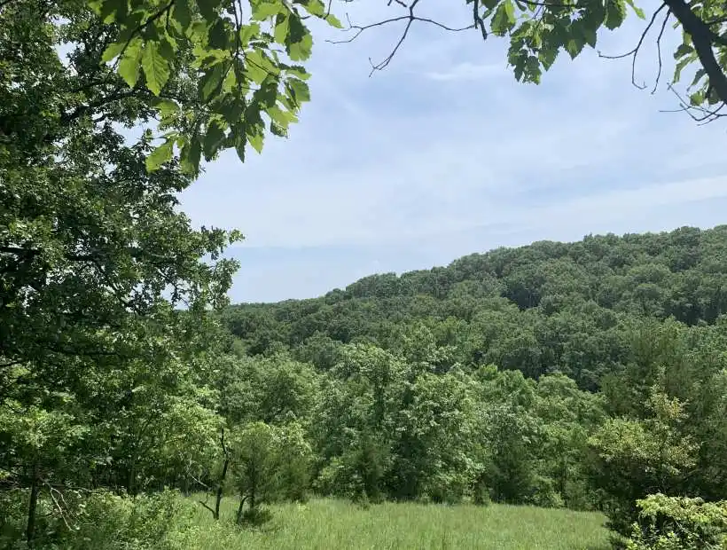 6161 Luvin Rd, Stover, Missouri 65078, ,Recreational,Sold,Luvin Rd,5684