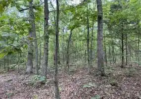 TBD Highway B, Lincoln, Missouri 65338, ,Hunting,Sold,Highway B ,5685 TBD Highway B, Lincoln, Missouri 65338, ,Hunting,Sold,Highway B ,5685